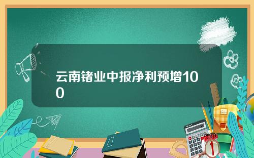 云南锗业中报净利预增100