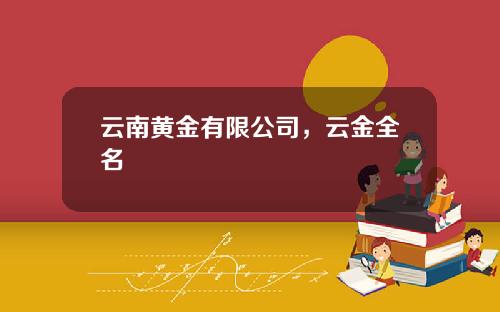 云南黄金有限公司，云金全名
