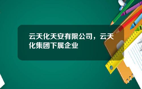 云天化天安有限公司，云天化集团下属企业