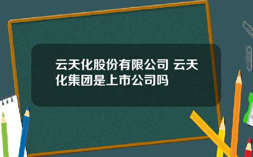 云天化股份有限公司 云天化集团是上市公司吗