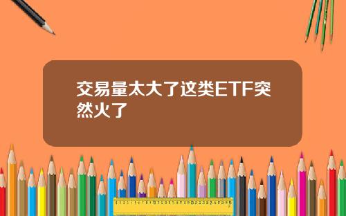 交易量太大了这类ETF突然火了