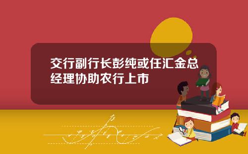 交行副行长彭纯或任汇金总经理协助农行上市