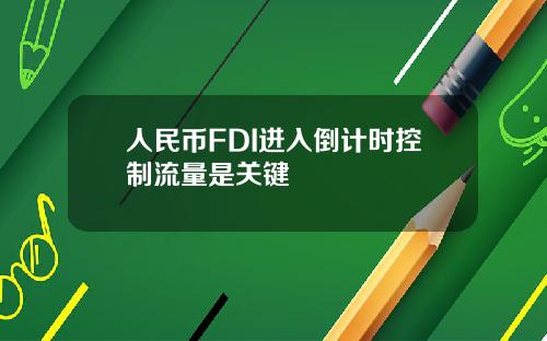 人民币FDI进入倒计时控制流量是关键