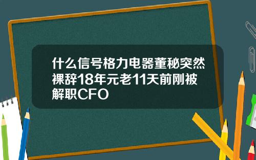 什么信号格力电器董秘突然裸辞18年元老11天前刚被解职CFO
