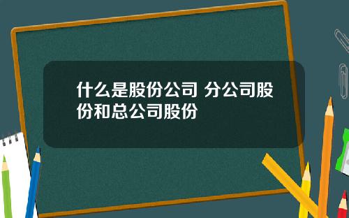 什么是股份公司 分公司股份和总公司股份