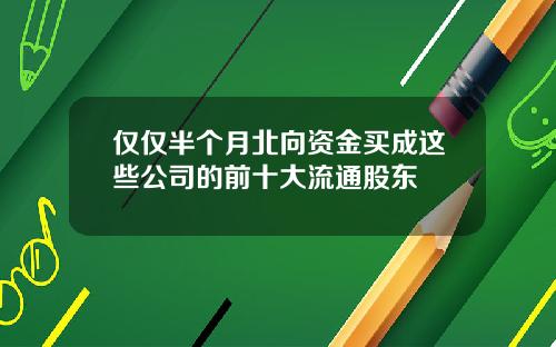 仅仅半个月北向资金买成这些公司的前十大流通股东