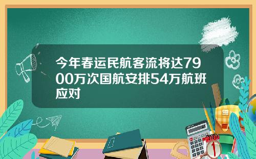 今年春运民航客流将达7900万次国航安排54万航班应对
