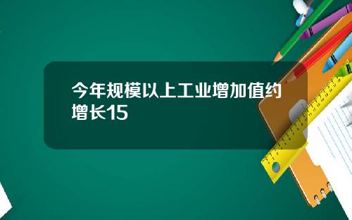 今年规模以上工业增加值约增长15