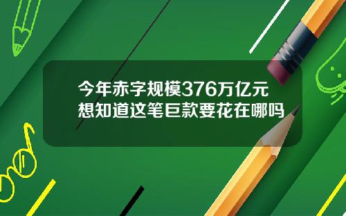 今年赤字规模376万亿元想知道这笔巨款要花在哪吗