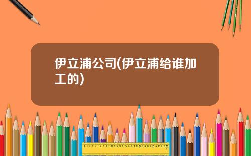 伊立浦公司(伊立浦给谁加工的)