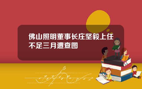 佛山照明董事长庄坚毅上任不足三月遭查图