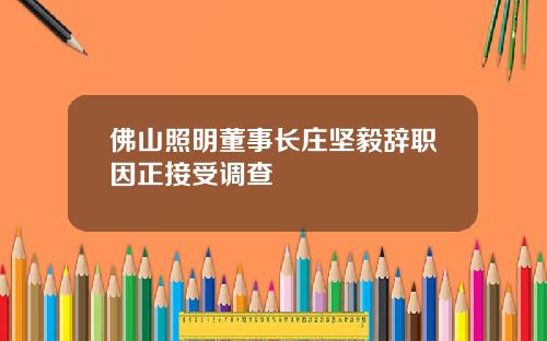佛山照明董事长庄坚毅辞职因正接受调查
