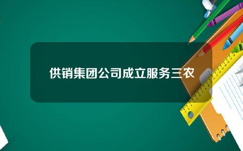 供销集团公司成立服务三农