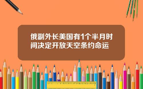 俄副外长美国有1个半月时间决定开放天空条约命运