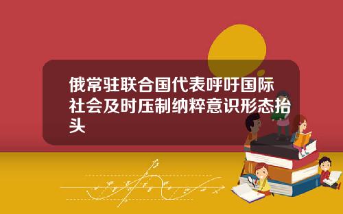 俄常驻联合国代表呼吁国际社会及时压制纳粹意识形态抬头