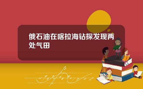 俄石油在喀拉海钻探发现两处气田