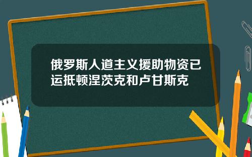 俄罗斯人道主义援助物资已运抵顿涅茨克和卢甘斯克