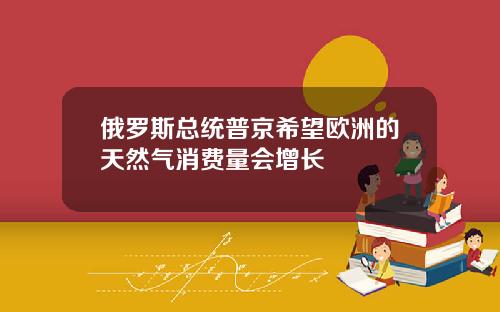 俄罗斯总统普京希望欧洲的天然气消费量会增长