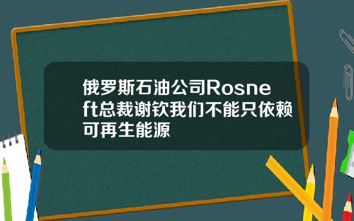 俄罗斯石油公司Rosneft总裁谢钦我们不能只依赖可再生能源
