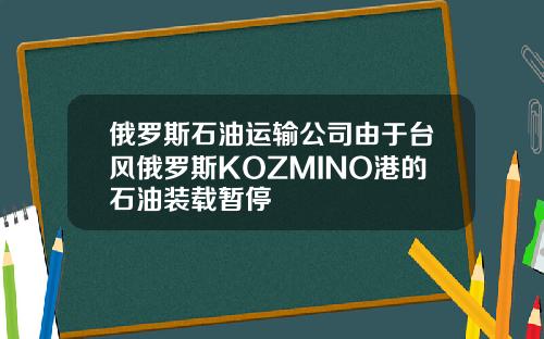 俄罗斯石油运输公司由于台风俄罗斯KOZMINO港的石油装载暂停