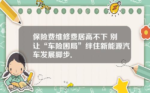 保险费维修费居高不下 别让“车险困局”绊住新能源汽车发展脚步.