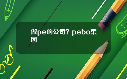做pe的公司？pebo集团