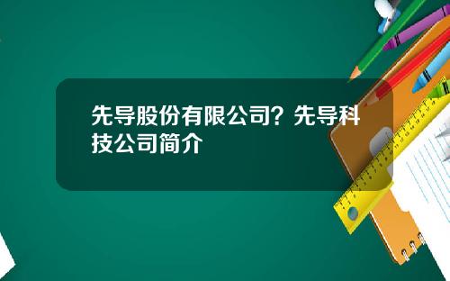 先导股份有限公司？先导科技公司简介