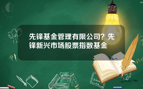 先锋基金管理有限公司？先锋新兴市场股票指数基金