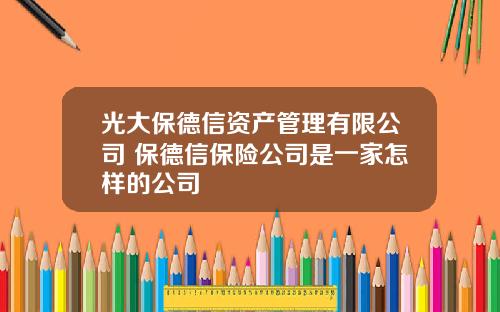 光大保德信资产管理有限公司 保德信保险公司是一家怎样的公司