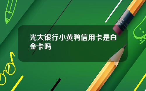 光大银行小黄鸭信用卡是白金卡吗