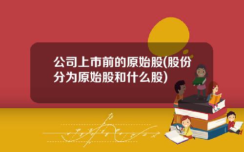 公司上市前的原始股(股份分为原始股和什么股)