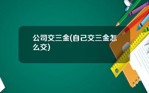 公司交三金(自己交三金怎么交)
