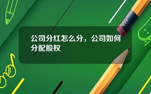 公司分红怎么分，公司如何分配股权