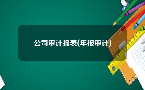 公司审计报表(年报审计)