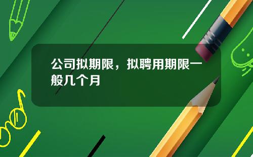 公司拟期限，拟聘用期限一般几个月