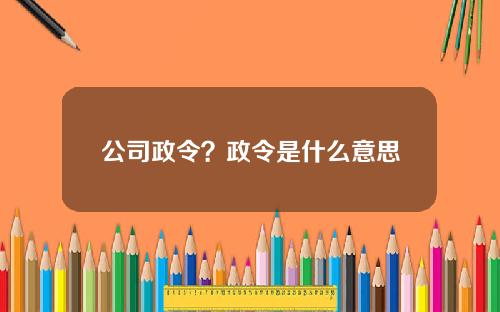 公司政令？政令是什么意思