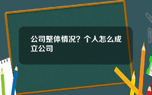 公司整体情况？个人怎么成立公司