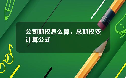公司期权怎么算，总期权费计算公式