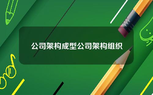 公司架构成型公司架构组织