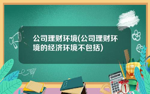 公司理财环境(公司理财环境的经济环境不包括)
