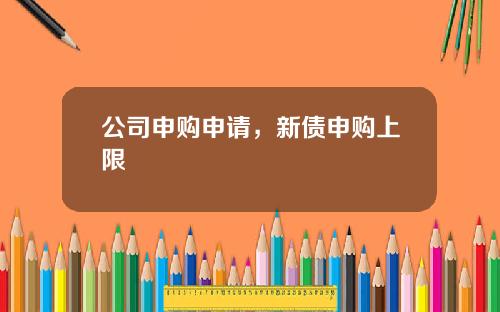 公司申购申请，新债申购上限