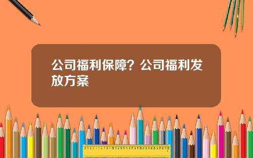 公司福利保障？公司福利发放方案