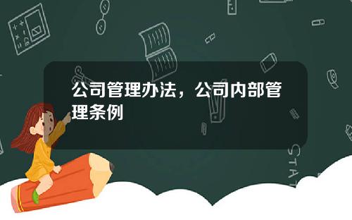 公司管理办法，公司内部管理条例
