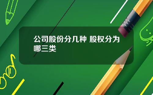公司股份分几种 股权分为哪三类