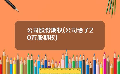 公司股份期权(公司给了20万股期权)