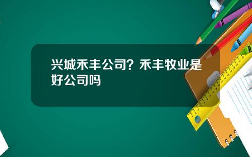 兴城禾丰公司？禾丰牧业是好公司吗