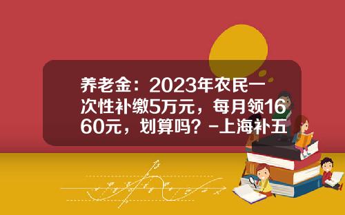 养老金：2023年农民一次性补缴5万元，每月领1660元，划算吗？-上海补五年的社保要多少钱