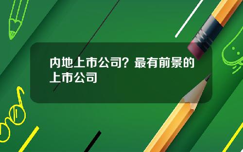 内地上市公司？最有前景的上市公司