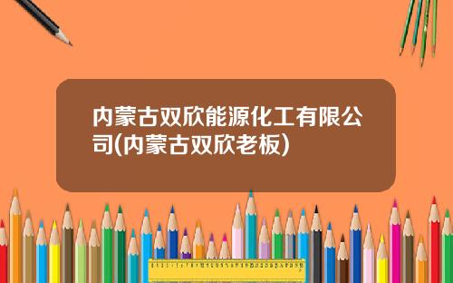 内蒙古双欣能源化工有限公司(内蒙古双欣老板)