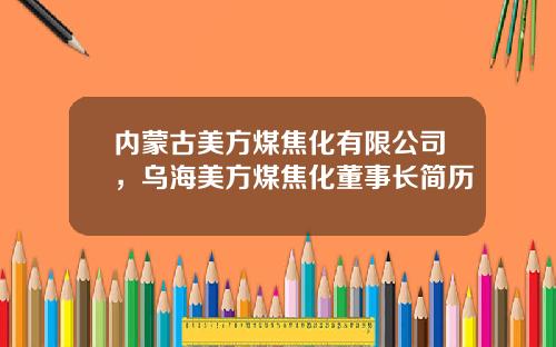 内蒙古美方煤焦化有限公司，乌海美方煤焦化董事长简历